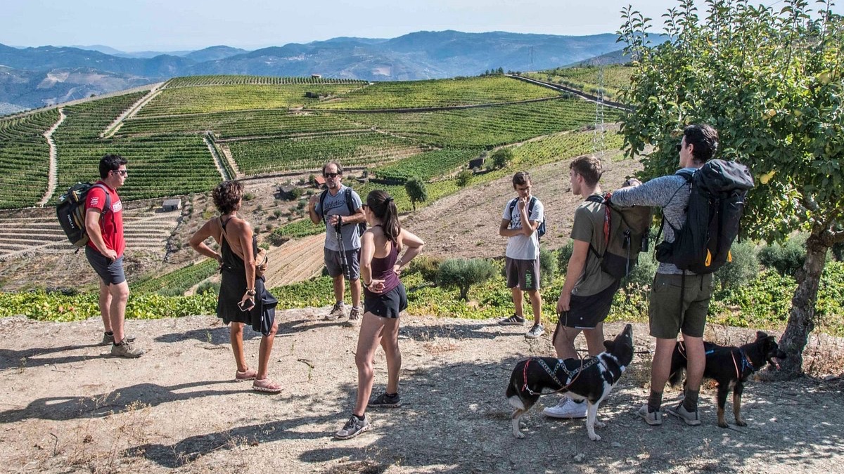 Douro Wining and Hiking Journey tripadvisor by gerencia