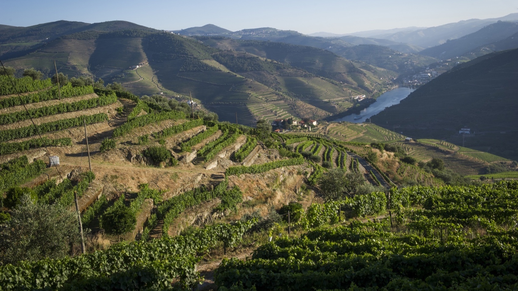 Hiking and Wining Journey Douro