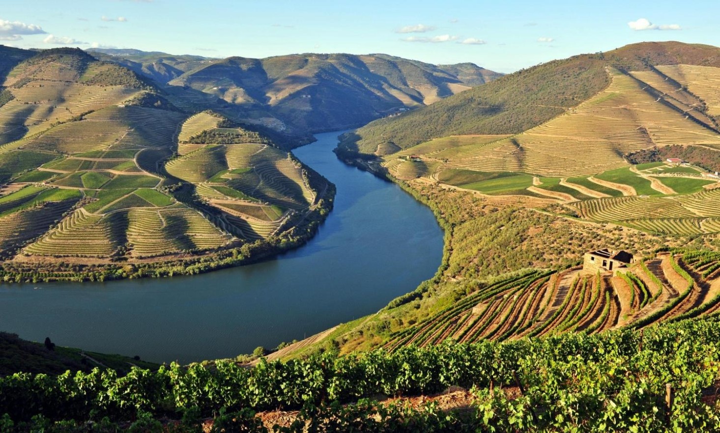 Douro Valley