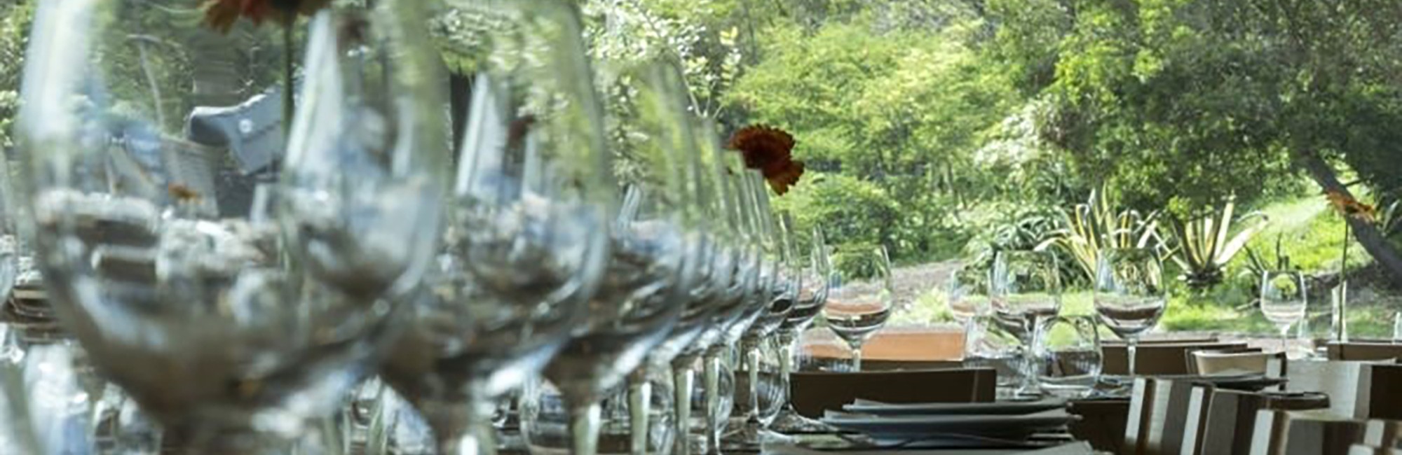 AASM Restaurant Banner