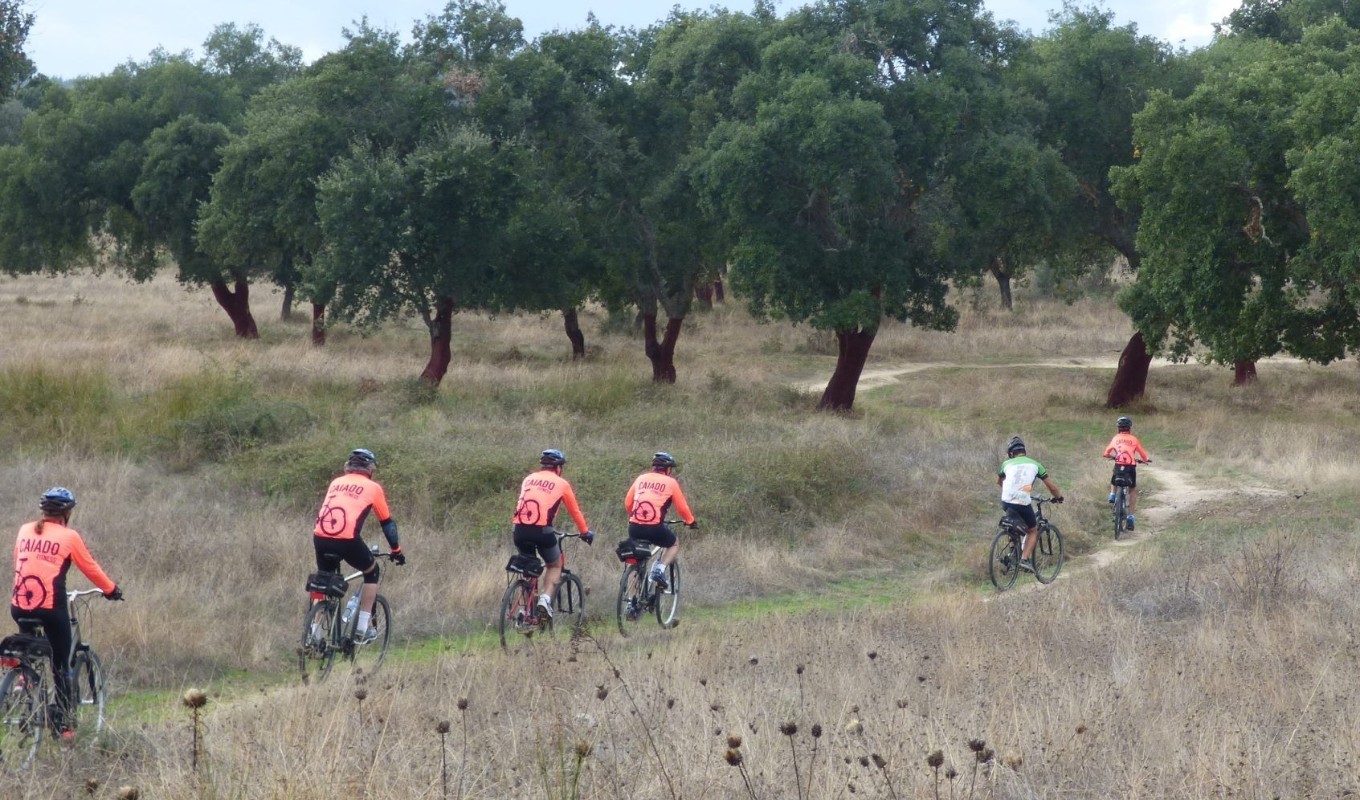 Alentejo Ebike Enchanted Megaliths 