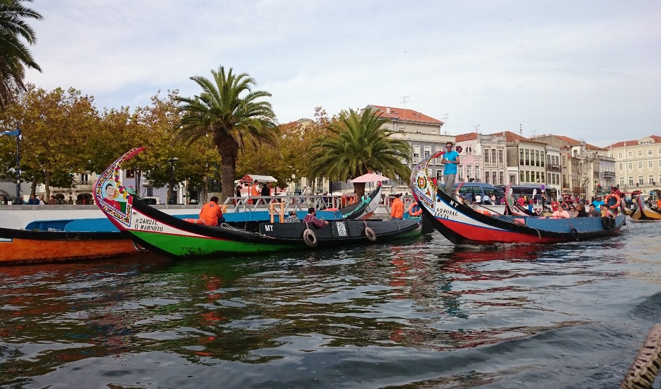 Picturesque Aveiro and Costa Nova