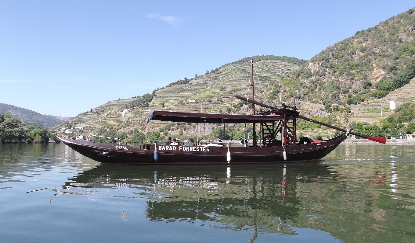 Douro by Bike with Cruise