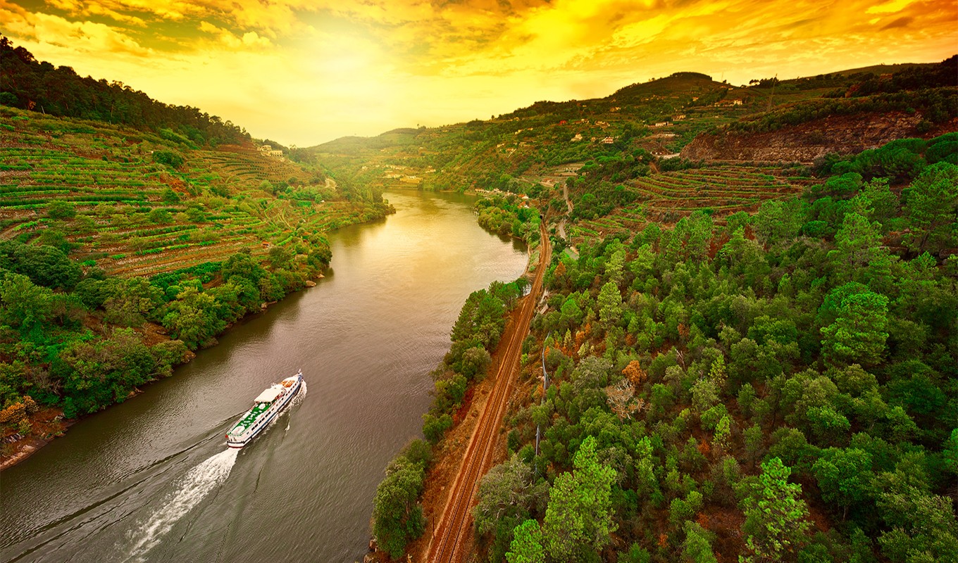 1 day tour in Douro Valley