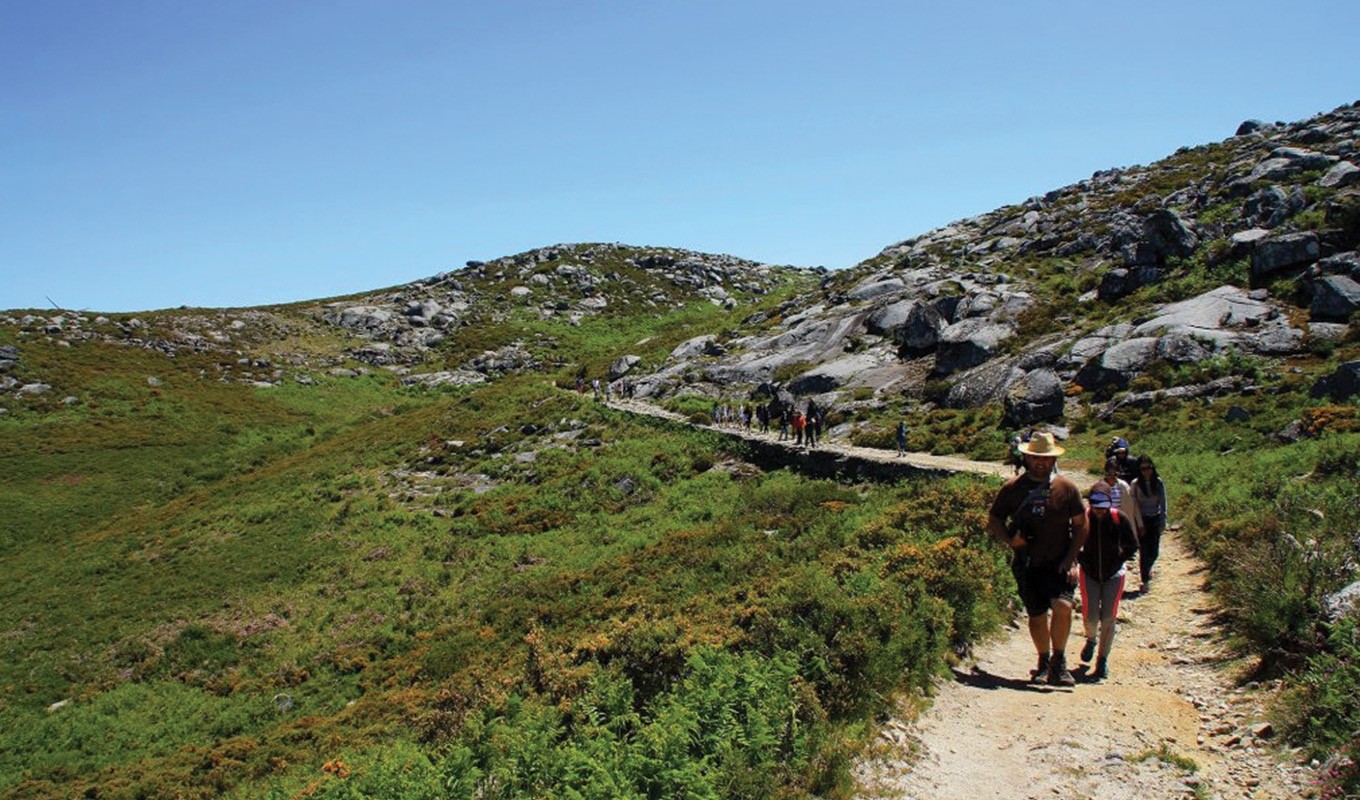 Enchanted Mountain Hike