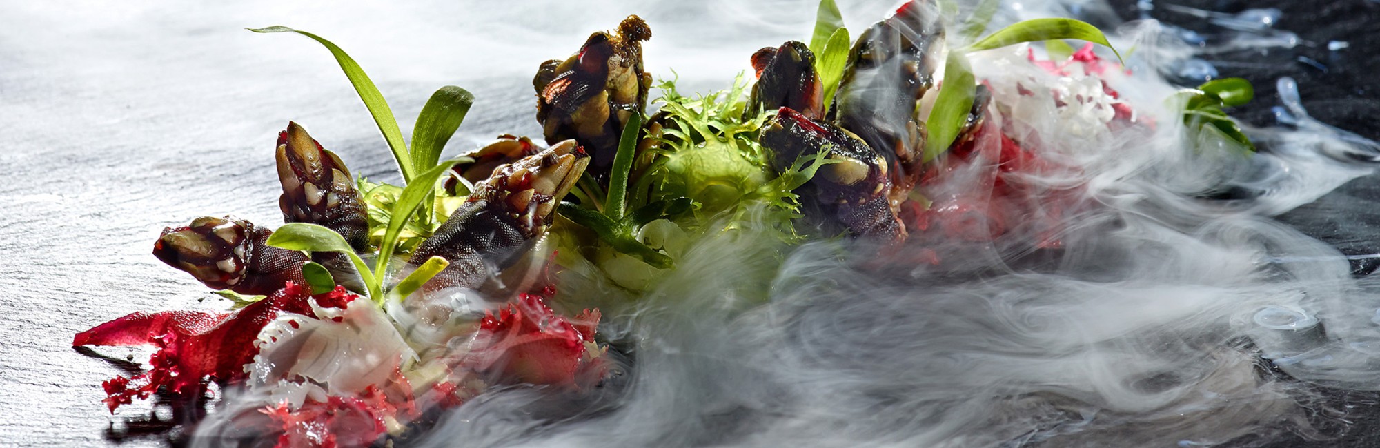 VJ Restaurant Banner