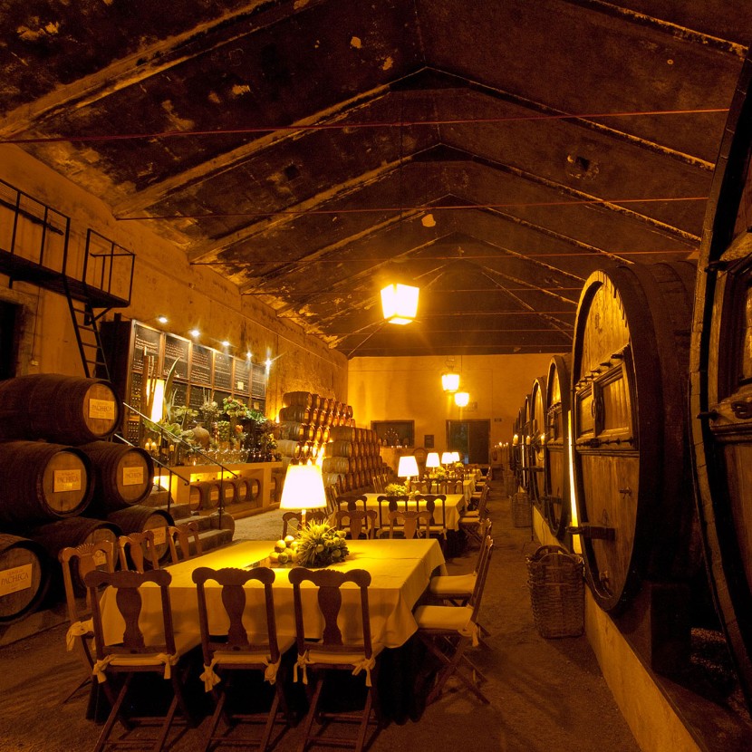 Traditional Wine Lodge