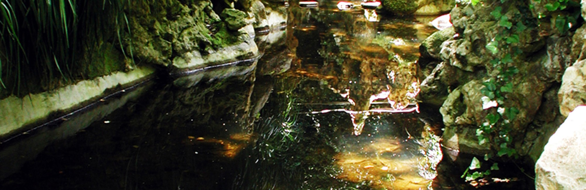 20th Century Palace Banner