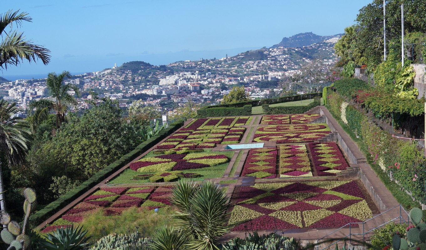 Madeira-botanical-garden