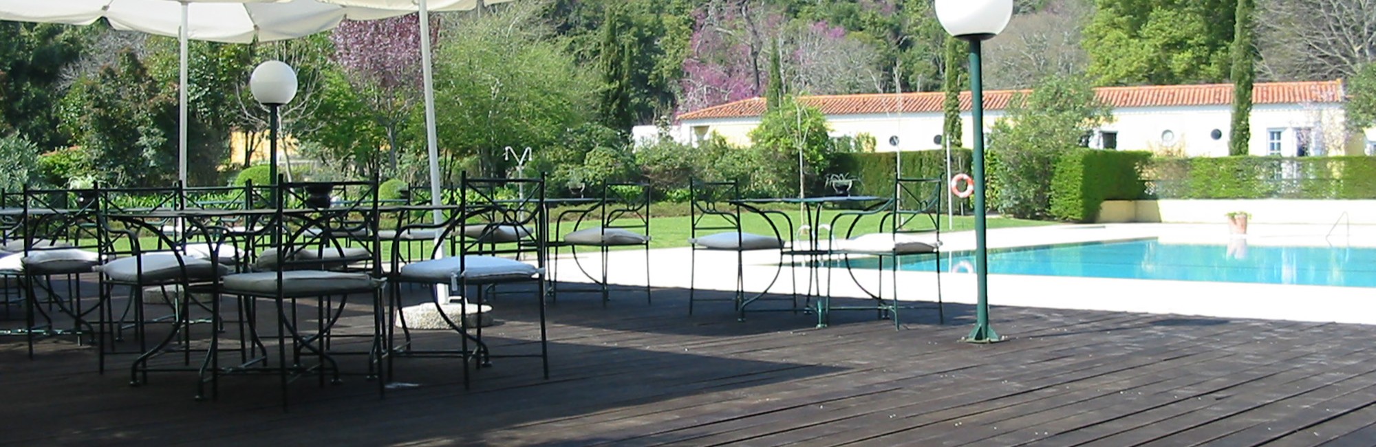 P&I Restaurant Banner