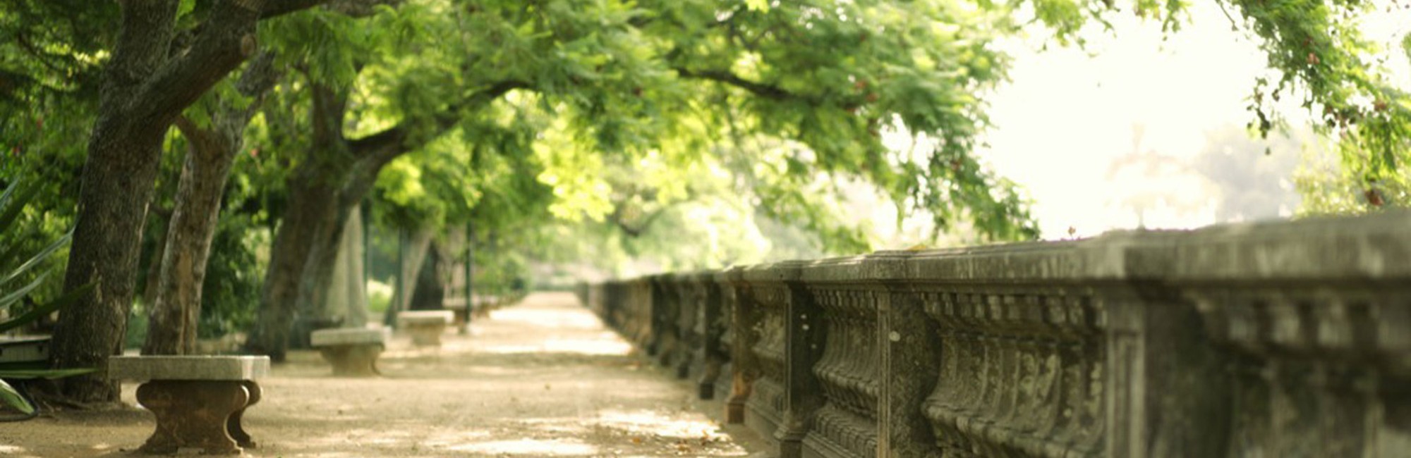 Restaurant - Botanical Gardens Banner