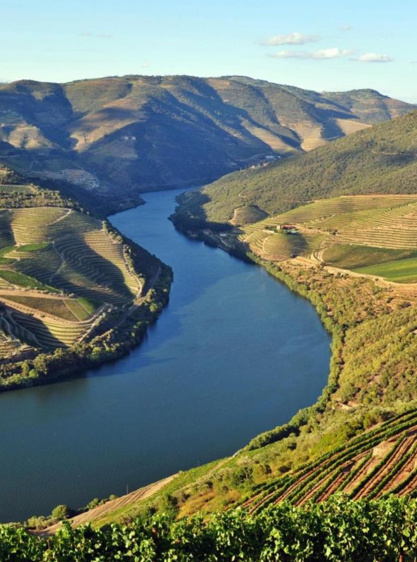 Douro Valley Wine Tour