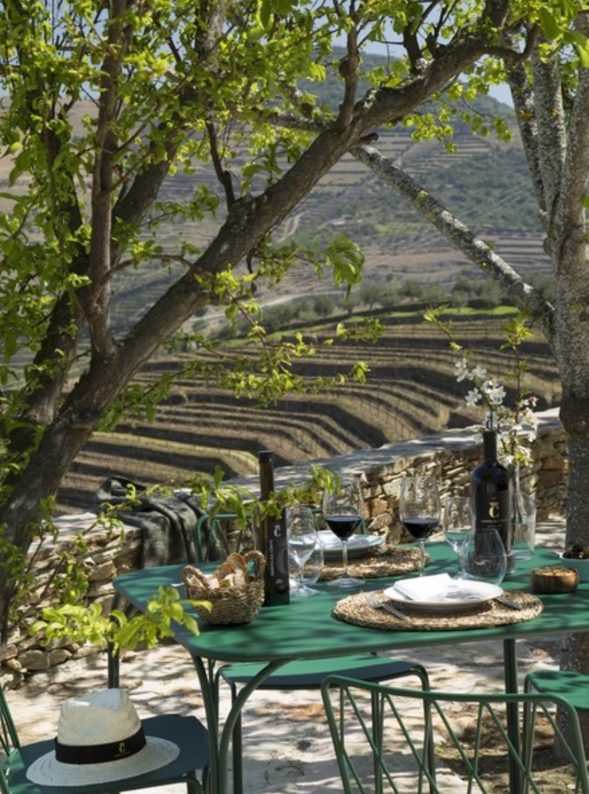 Wine Tasting in Douro