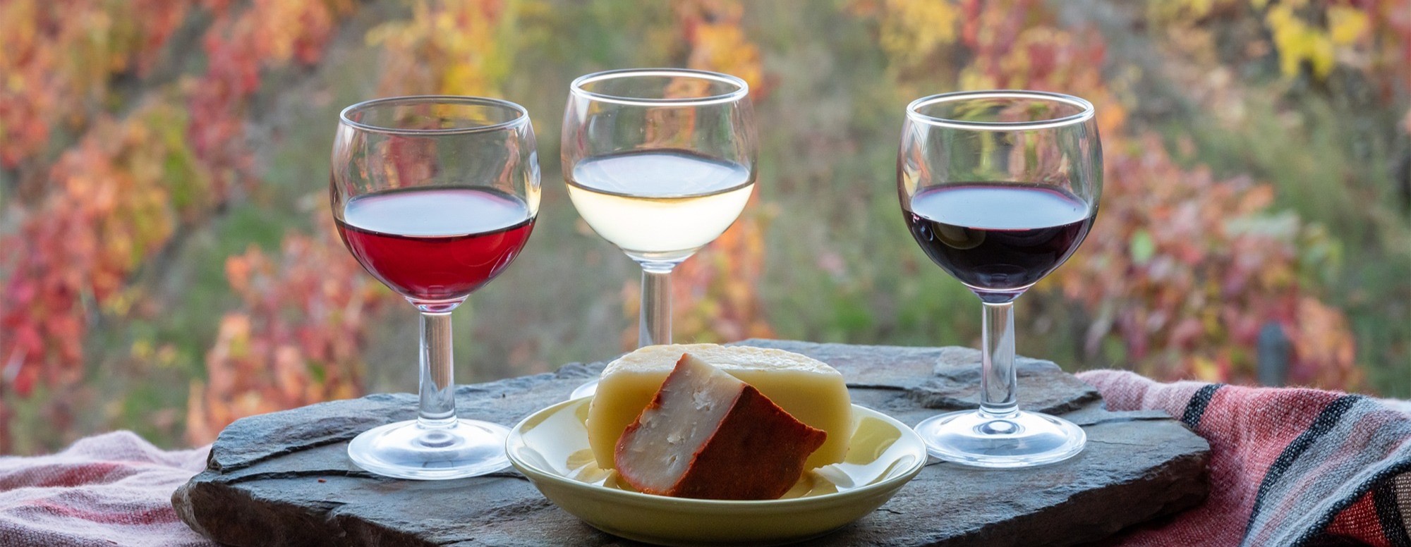 Wine Tasting Experience