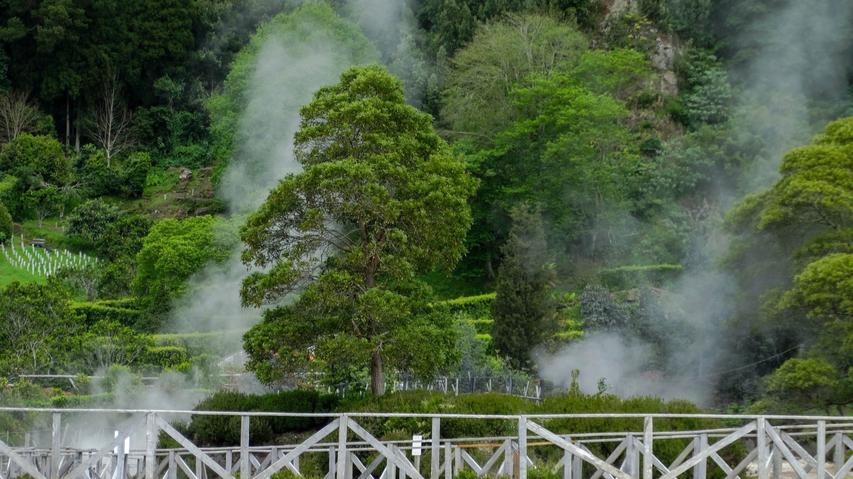 Azores-Off-Road-with-Hotsprings-furnas