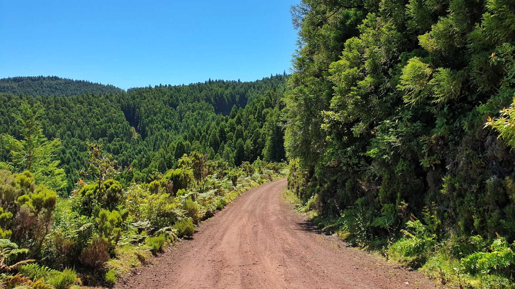 Azores-Off-Road-with-Hotsprings-Nordeste-road