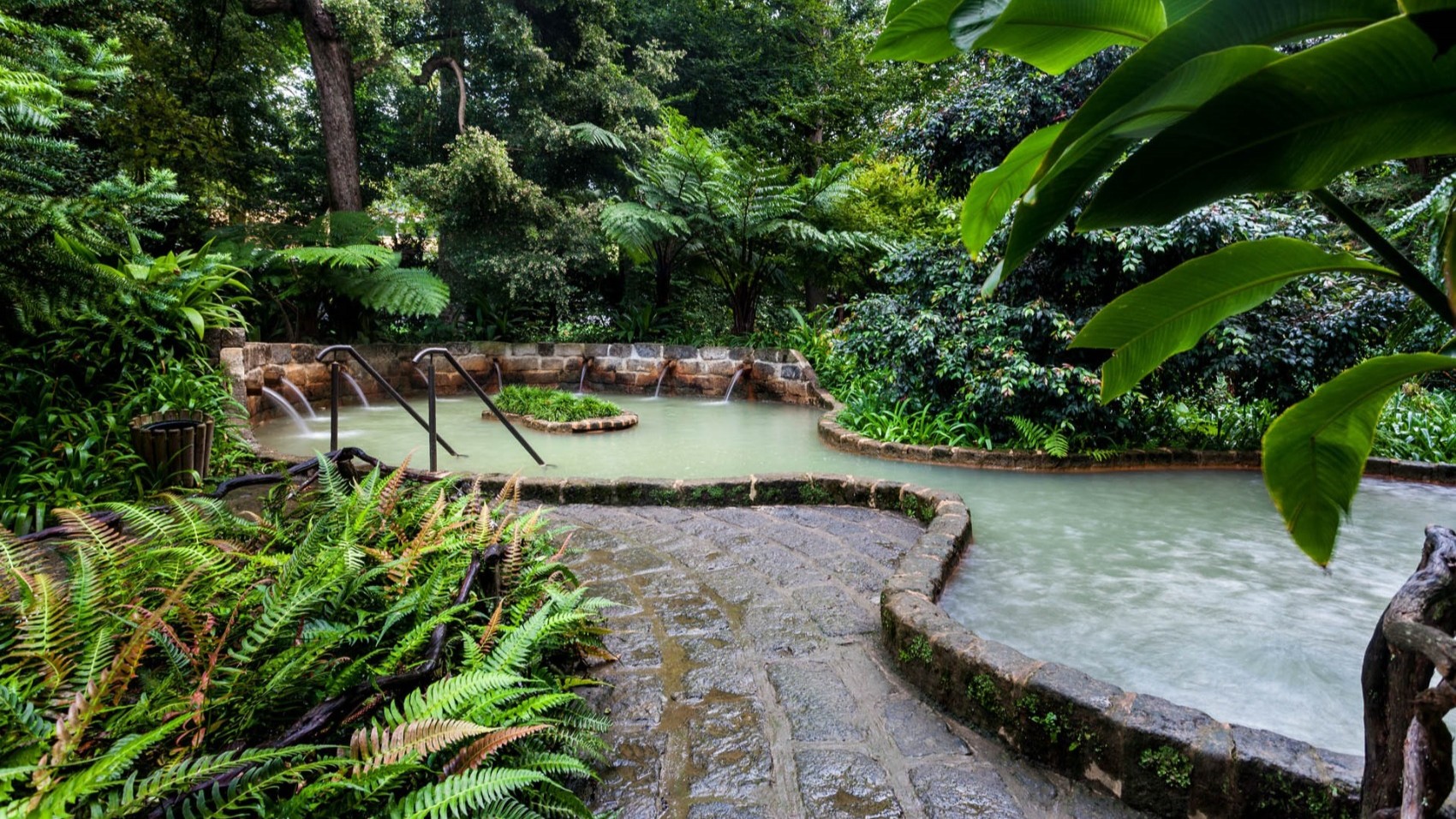 Azores-Off-Road-with-Hotsprings-terra-nostra-park