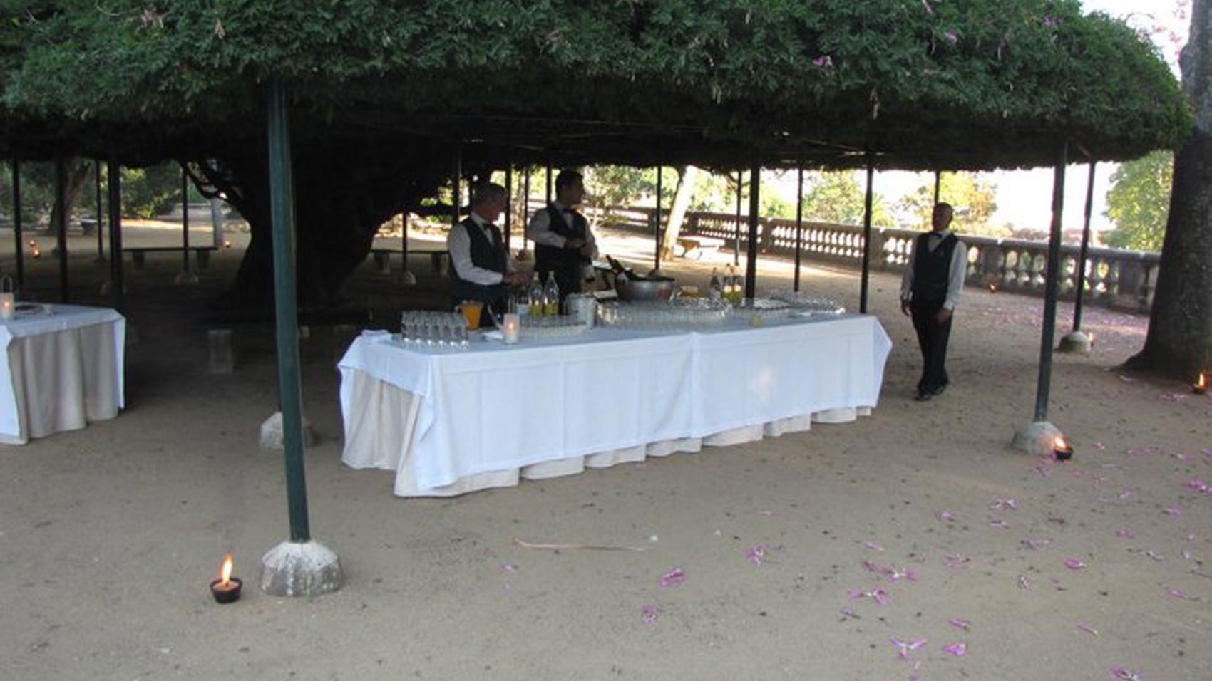 Bar Restaurant - Botanical Gardens