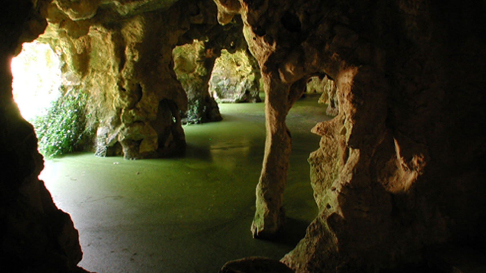 Cave 20th Century Palace