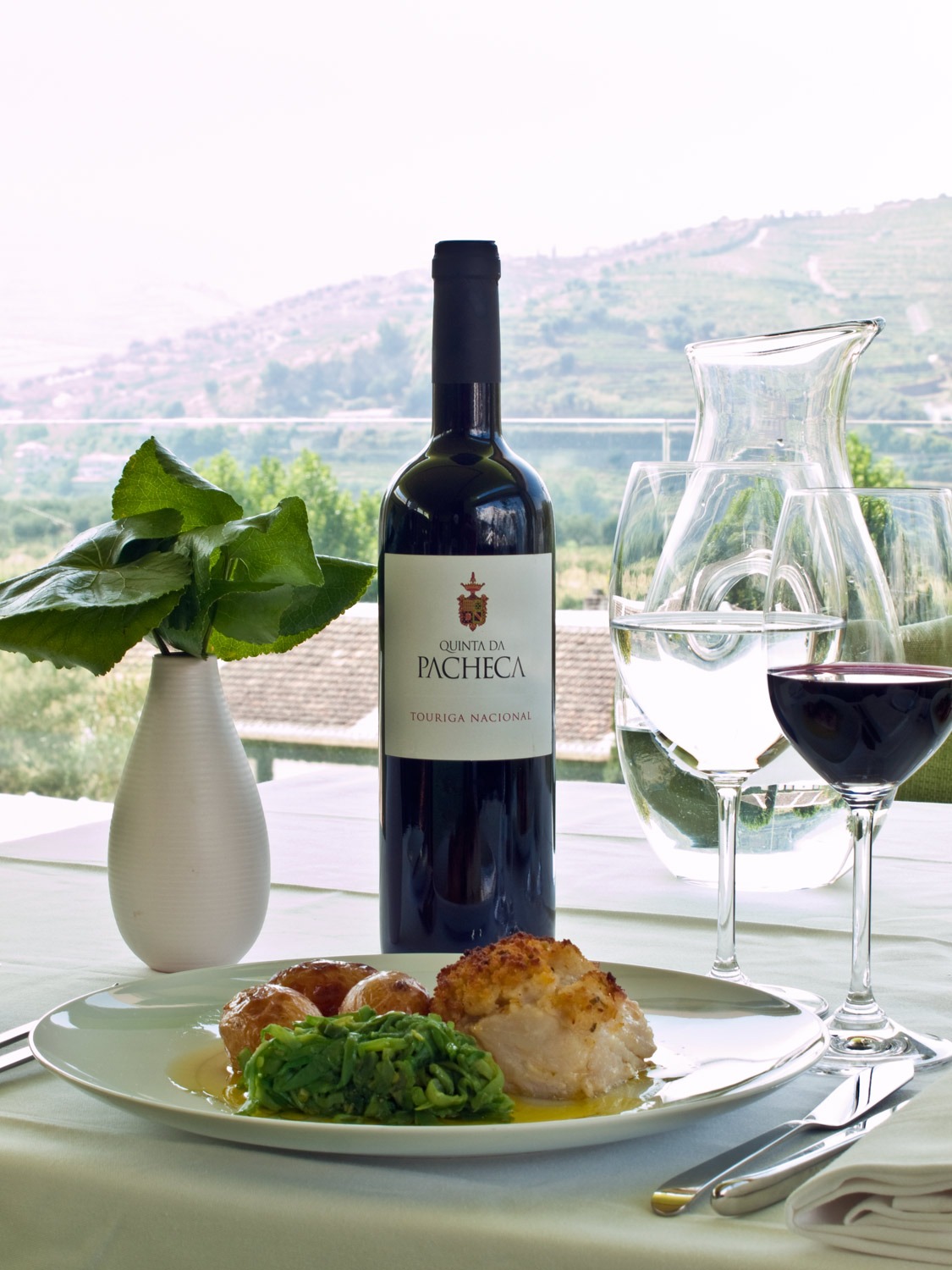 Codfish PR Restaurant
