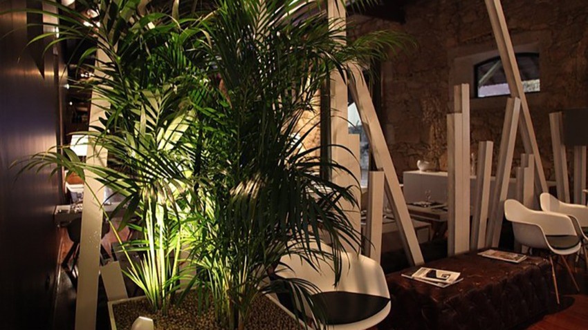 CV Restaurant Plants