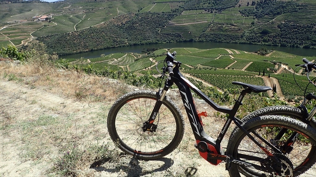 Cycling and Sailing through Vineyards Douro