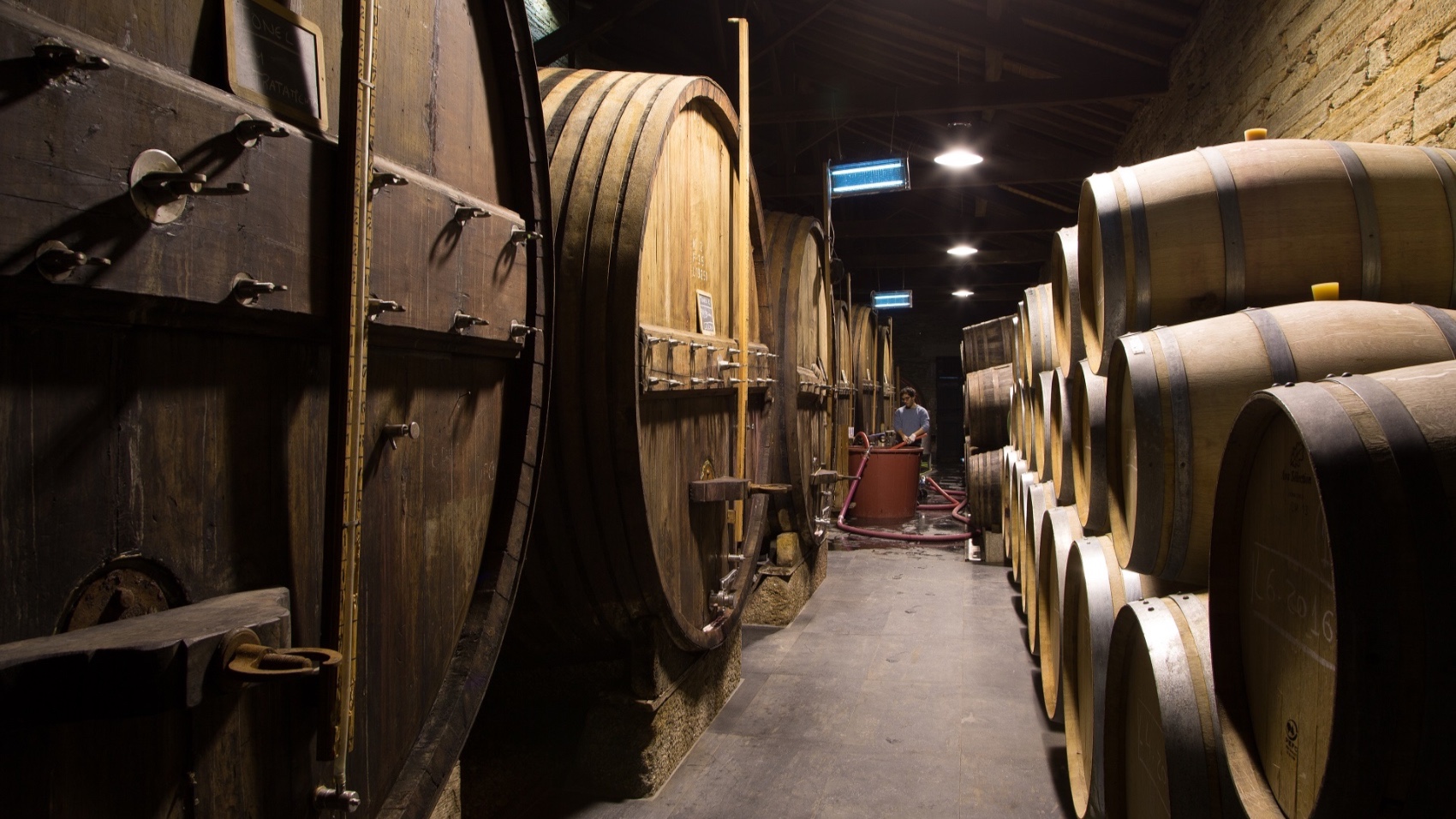 Douro Bike Hike Long Weekend Break ct winery wine barrels