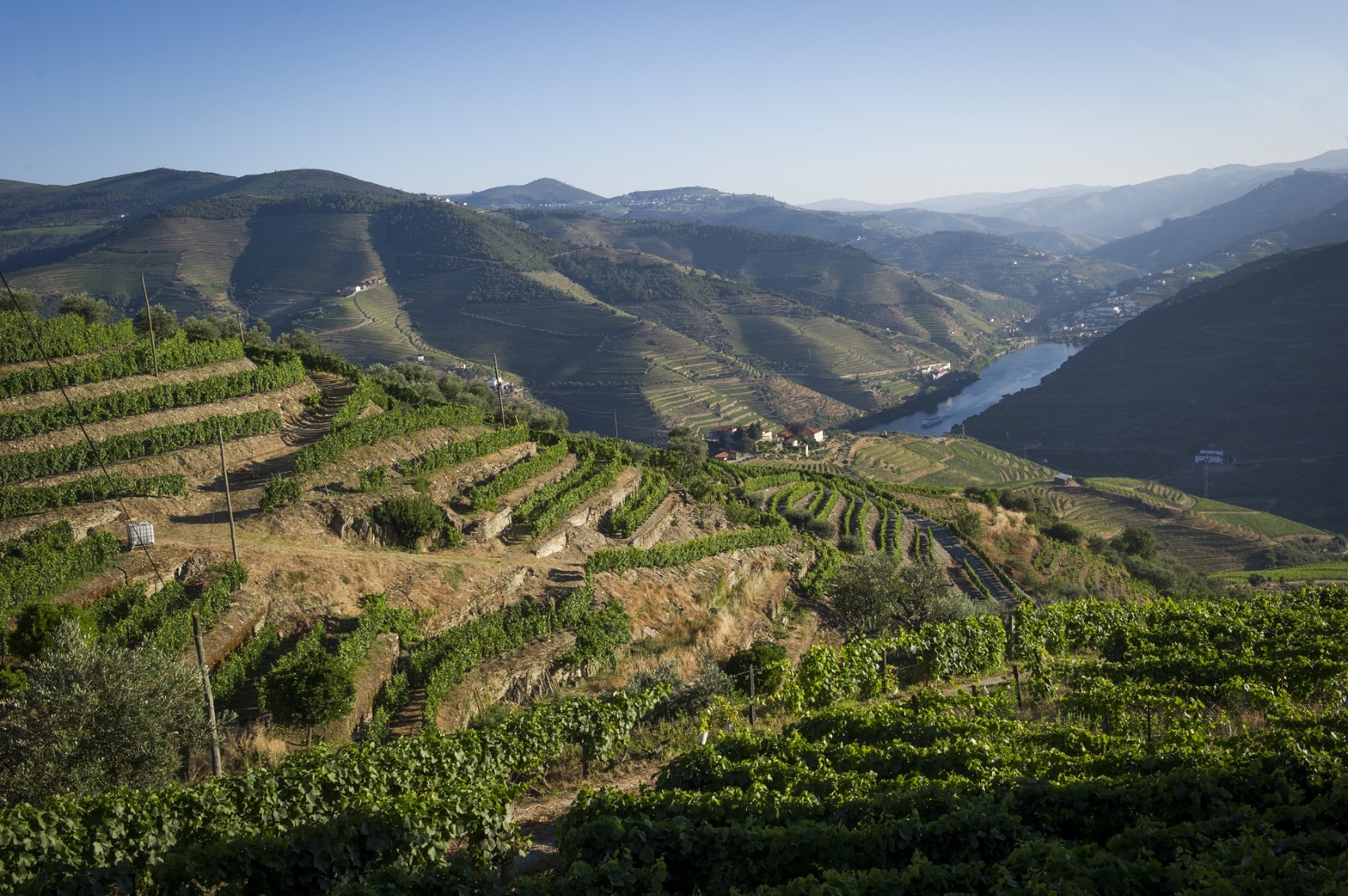 Douro Ultimate Winery and Sailing Journey
