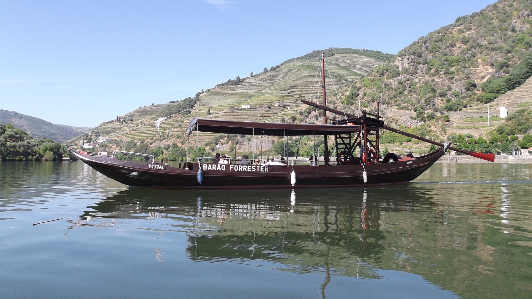 Douro Valley Finest Wines and Scenic Cruise