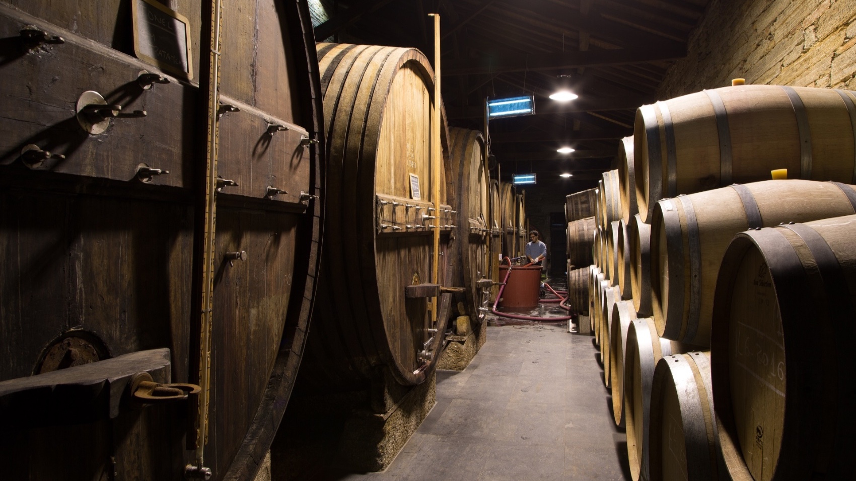 Douro Valley for Wine Lovers ct barrels