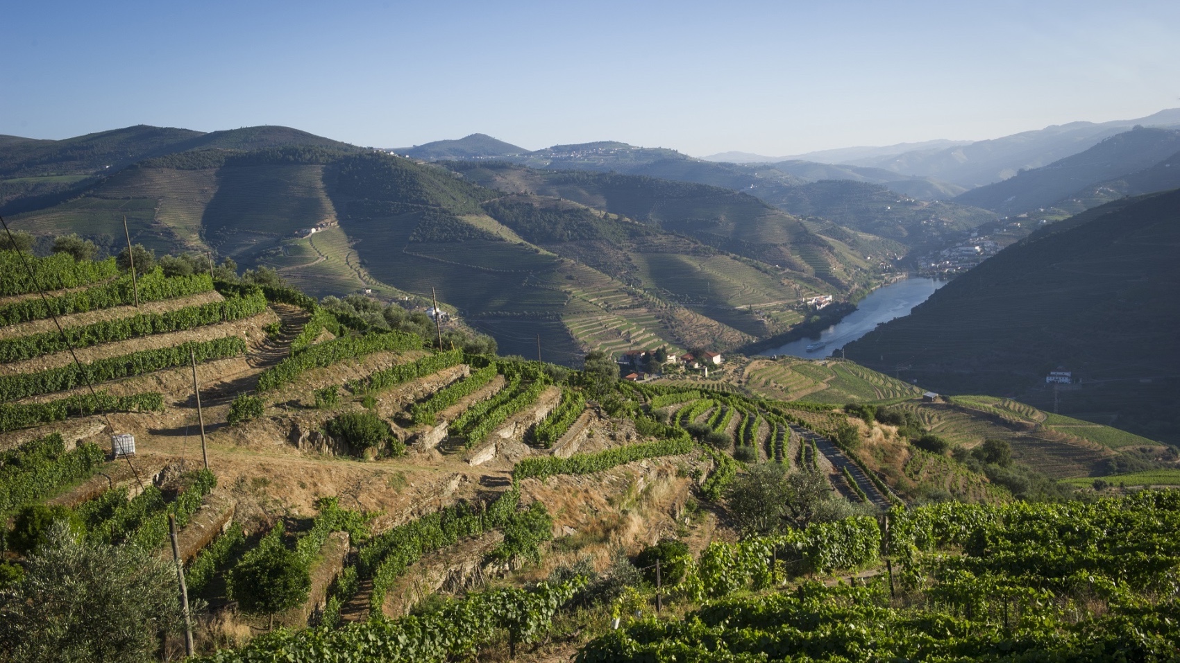 Douro Valley for Wine Lovers view