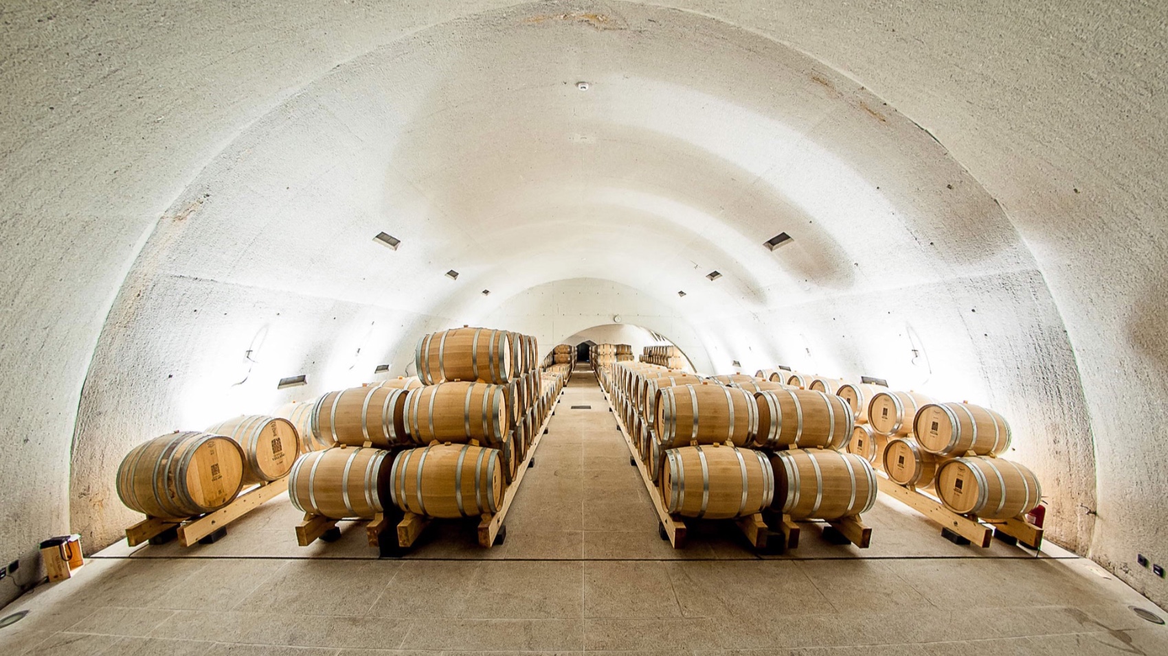 Douro Valley for Wine Lovers VL winery barrels