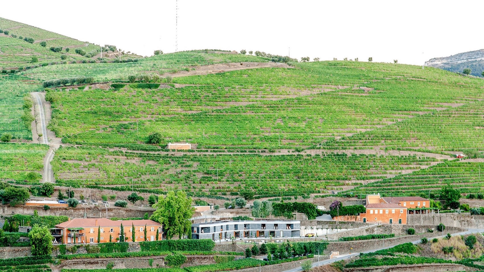 Douro Valley for Wine Lovers VL winery
