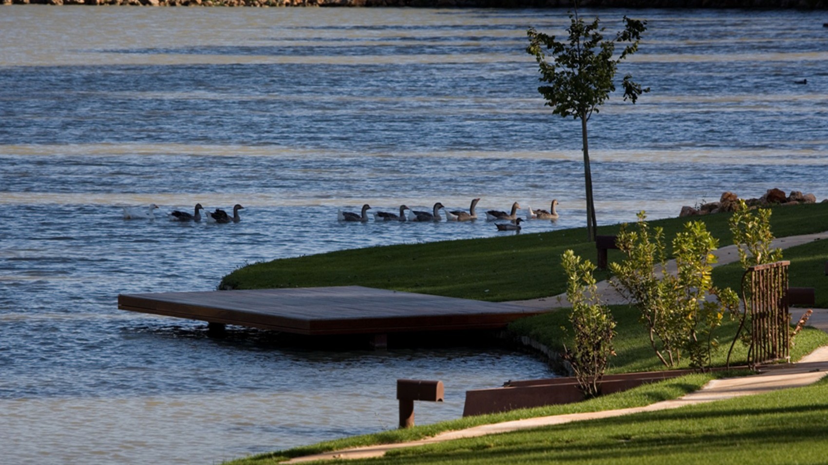 Ducks Modern & Hip Wine Estate 