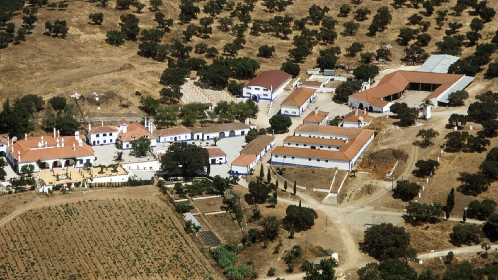 Exterior Modern Wine Estate