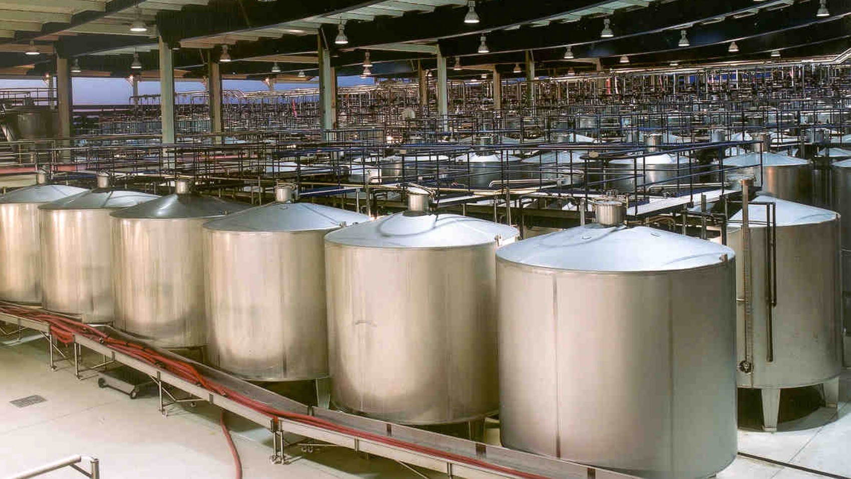 Fabric Rustic Wine Lodge