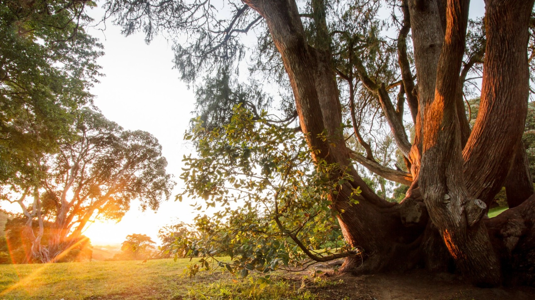 Garden 19th Century Palace Sintra