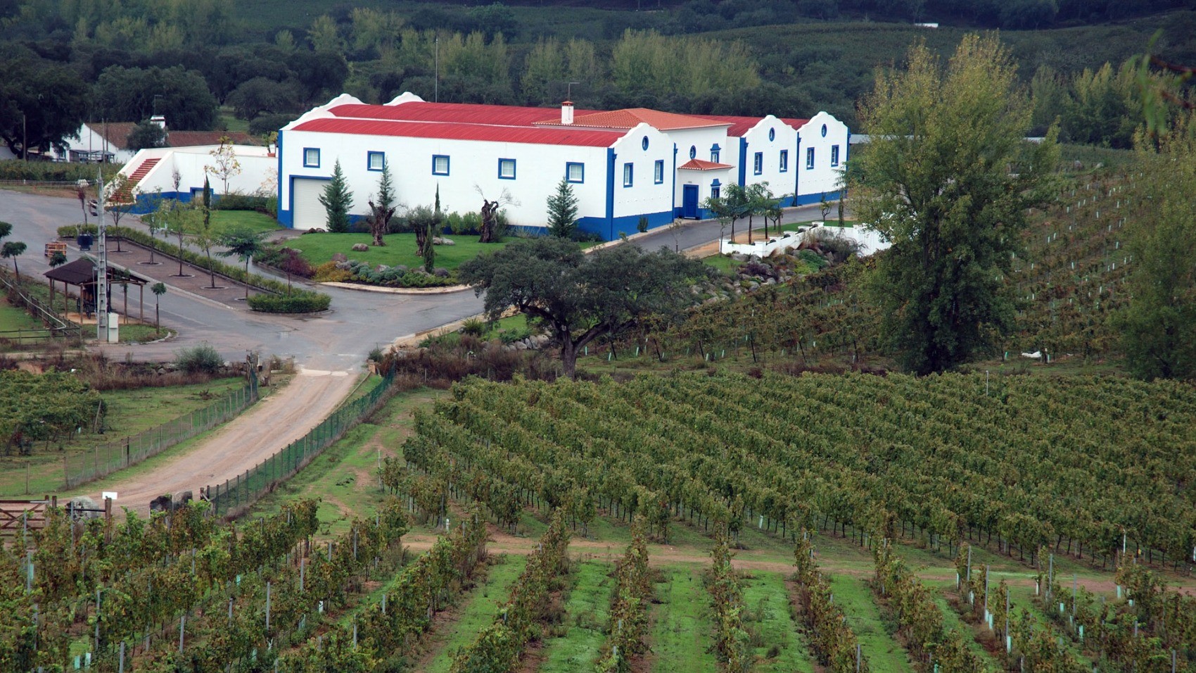 Garden Modern Wine Estate