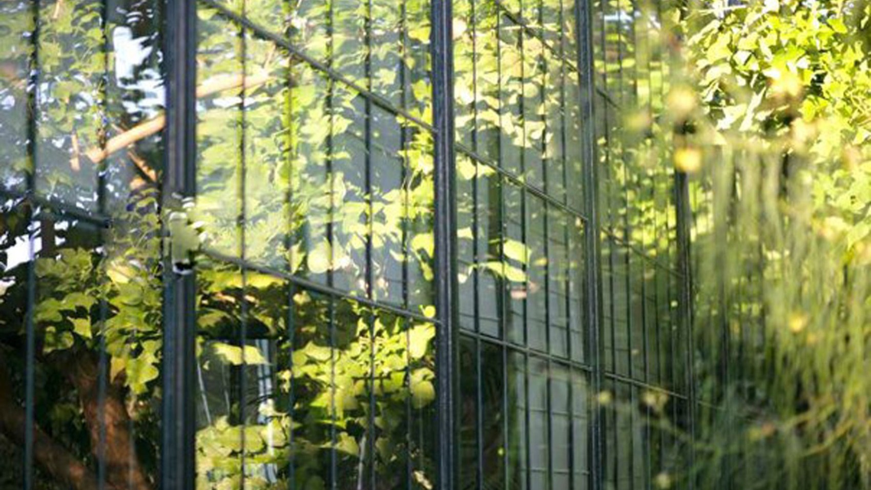 Glass Restaurant - Botanical Gardens