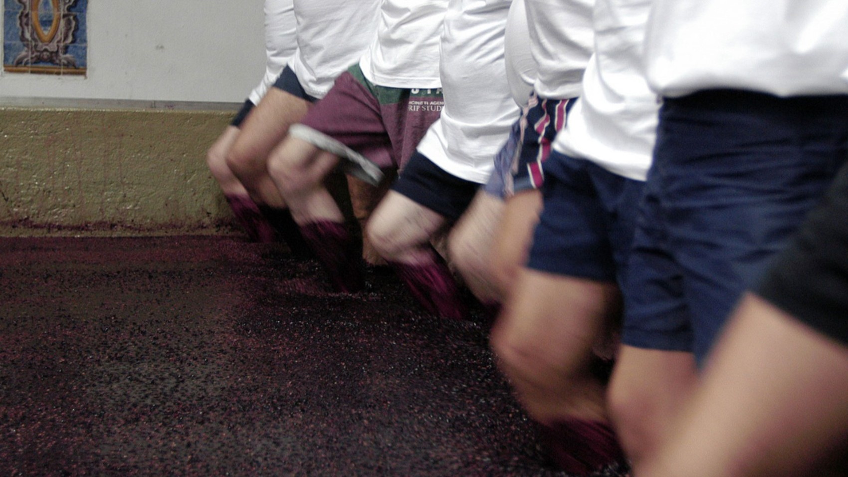 Grape Private Wine Estate