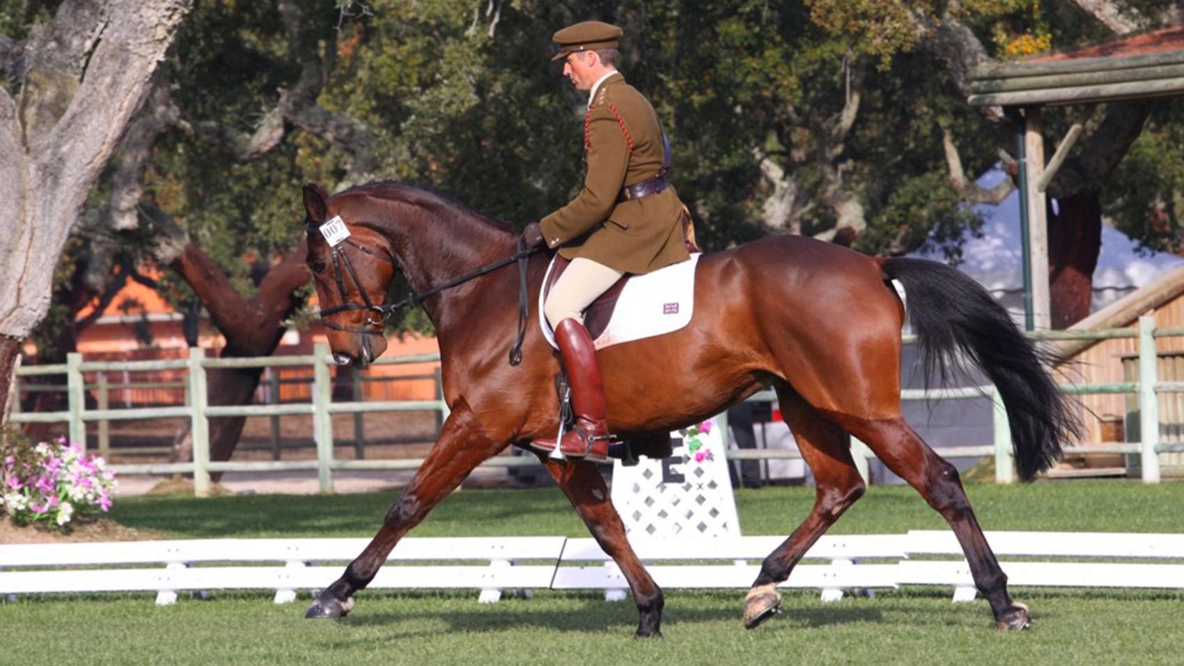 Horse Competition Modern & Hip Wine Estate 
