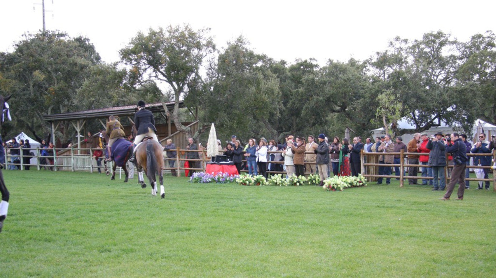 Horses Modern & Hip Wine Estate 