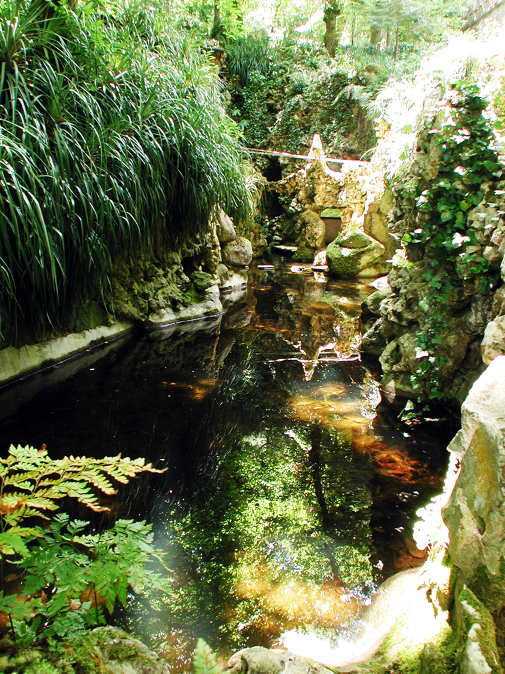 Lake 20th Century Palace