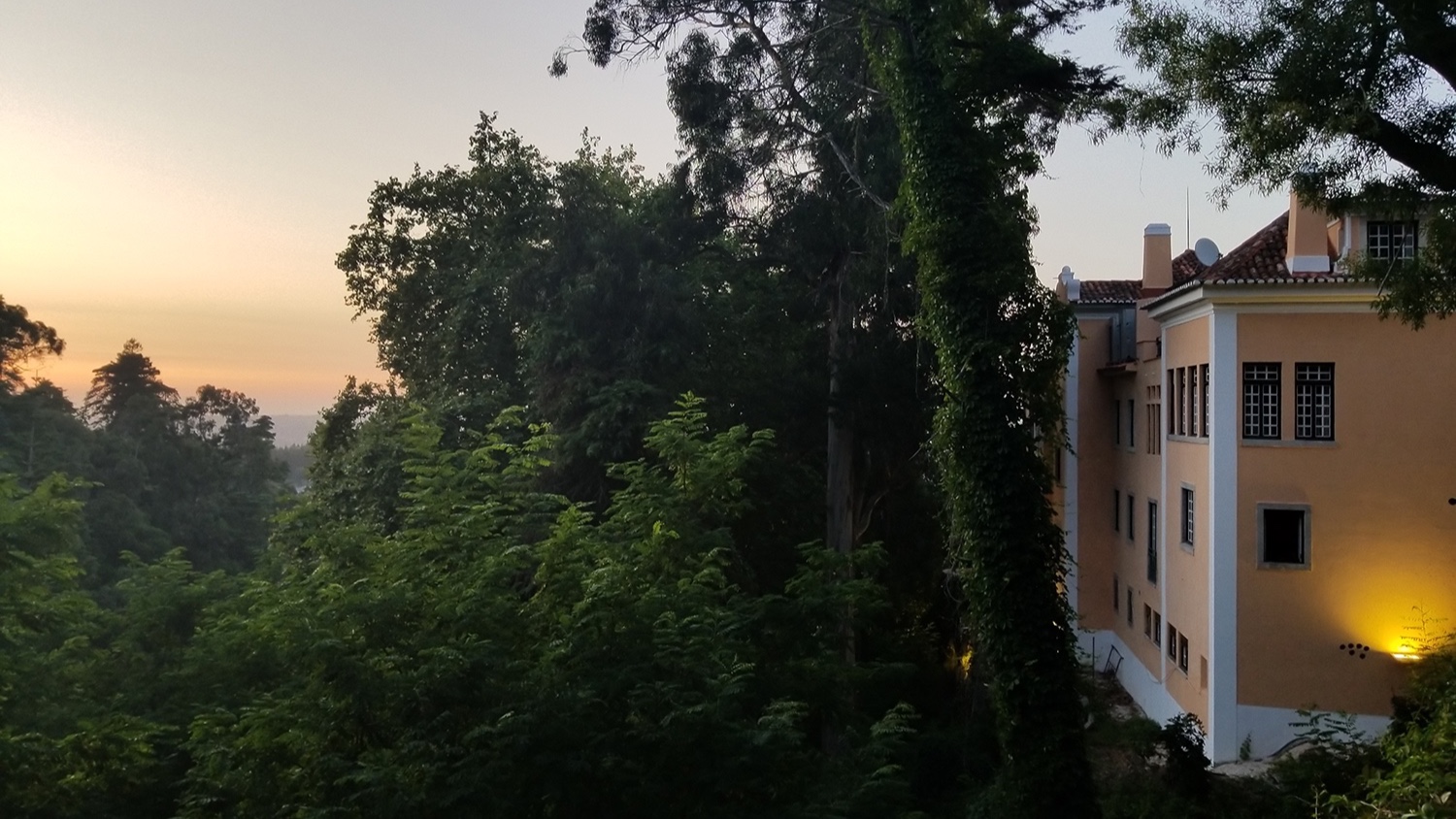 Lawrence's View