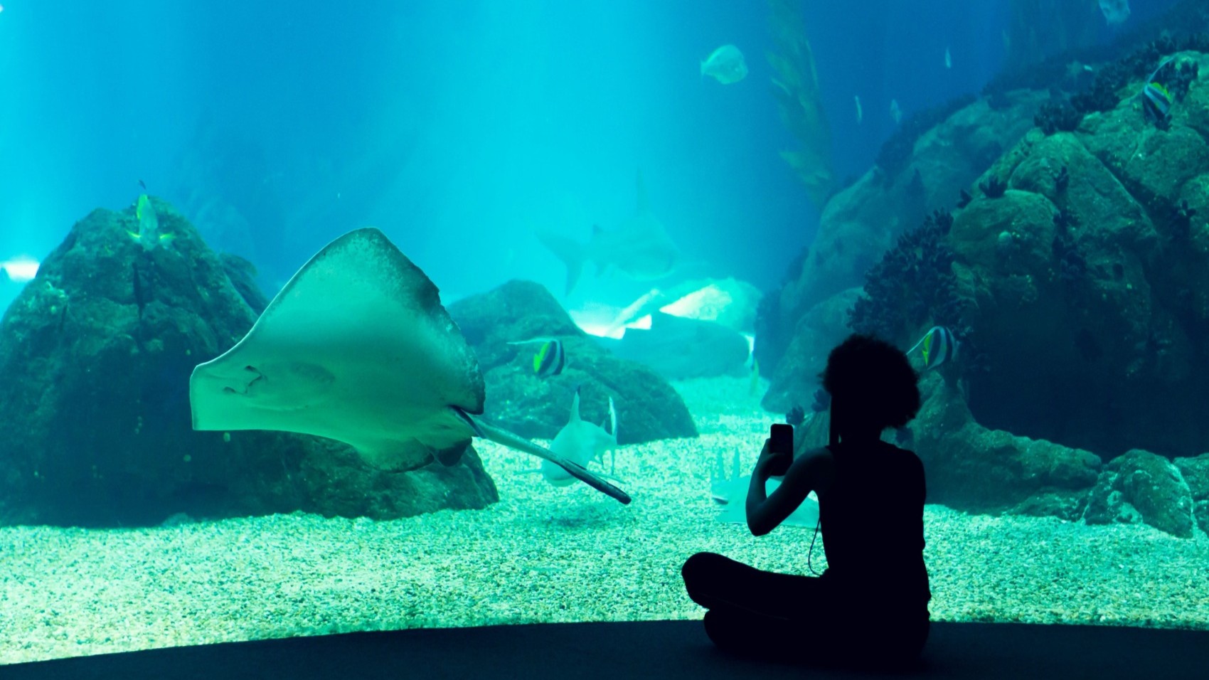 Lisbon-for-Families-oceanarium