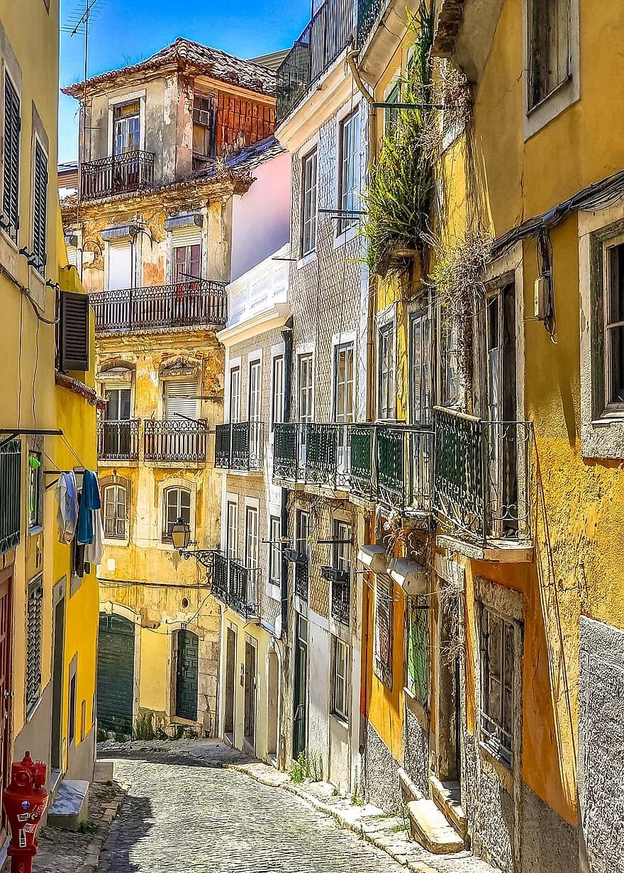 Lisbon & Sintra for History savy's streat