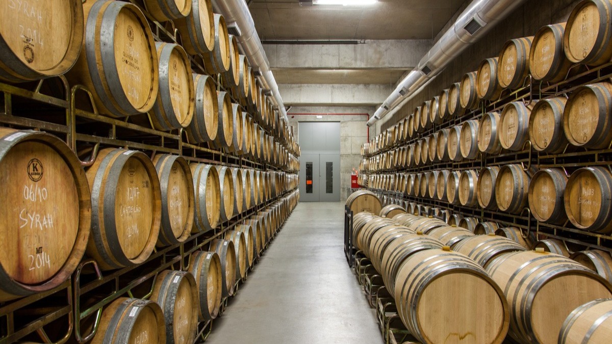 Lisbon-&-Surroungings-for-Wine-Lovers-cellar