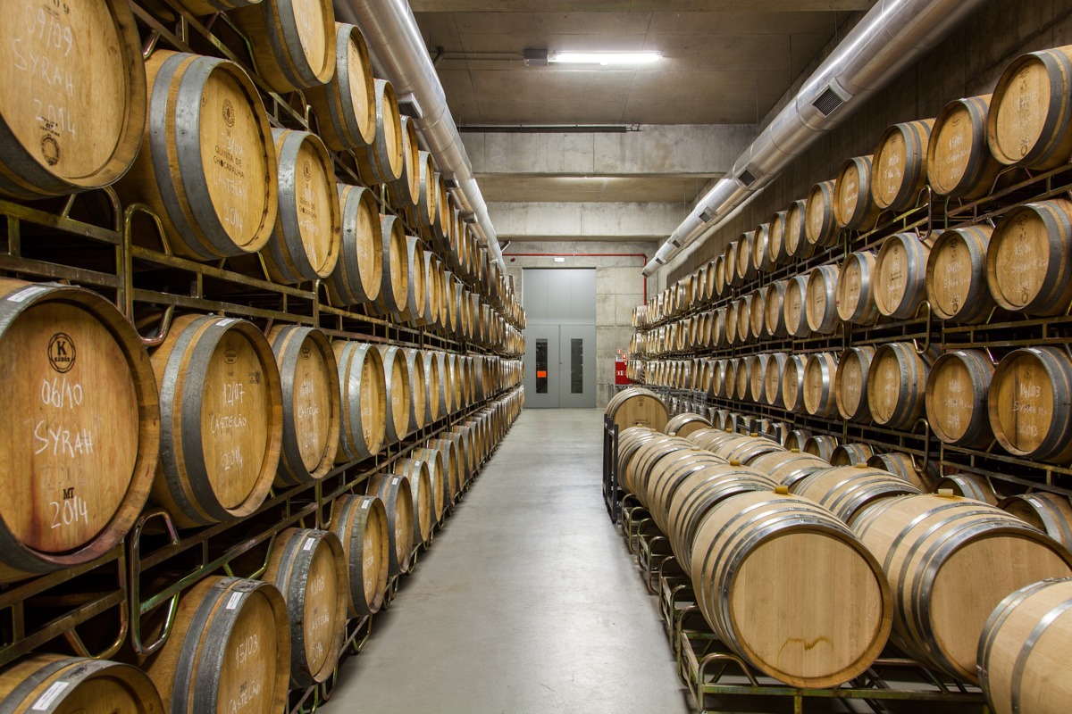 Lisbon Ultimate Winery Day Cellar