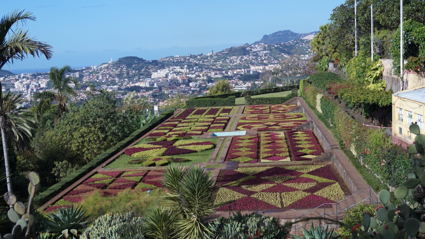 Madeira-Garden-&-Sidecar-Tour-botanical-garden
