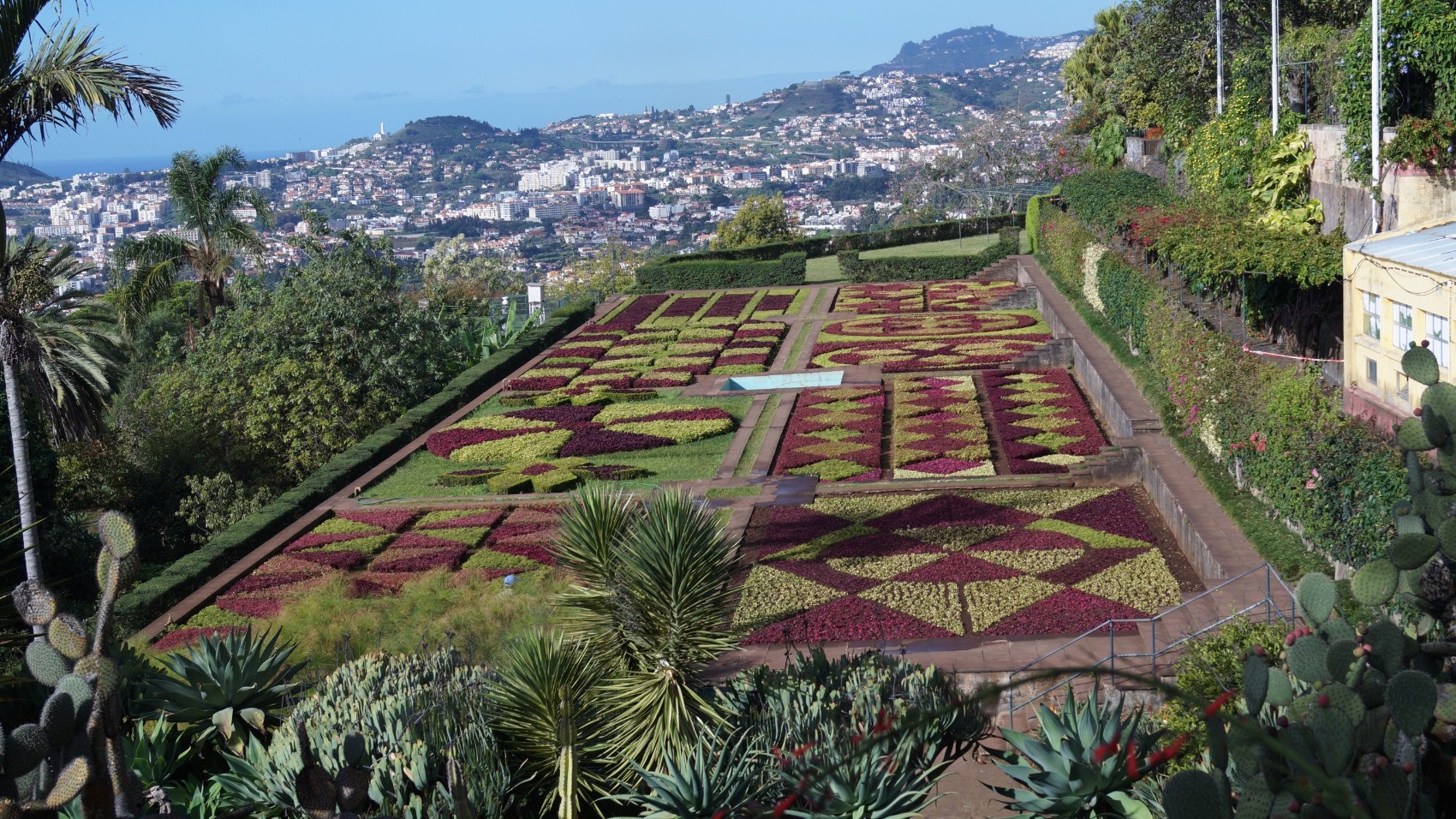 Madeira-Garden-Wine-and-Sidecar-Tour-Botanical-Garden